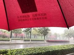 -桃源村(老门东店)