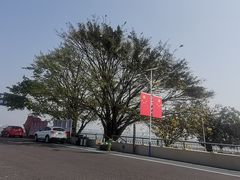 -大湾区中央湿地公园