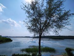 -丁香湖公园