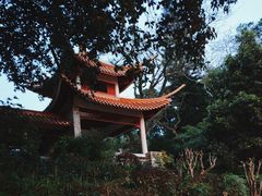 -深圳仙湖植物园