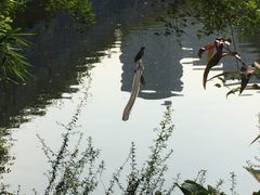 -重庆彩云湖湿地公园