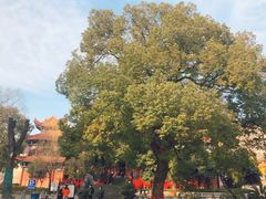 -宝通禅寺