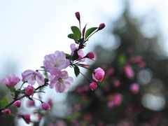 -白塘生态植物园