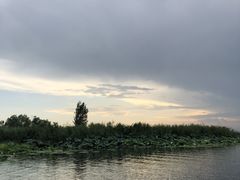 -白洋淀景区