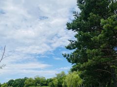 -长春净月潭风景名胜区