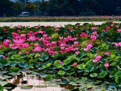 -云龙湖旅游景区