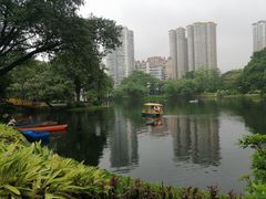 -晓港公园