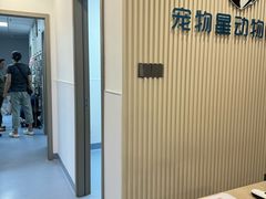 -宠物星动物医院·眼科·异宠·猫科(江南大道总院)