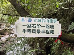 -青城山