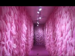 -成都失恋馆