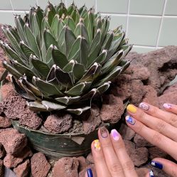 -LILY NAILS美甲美睫