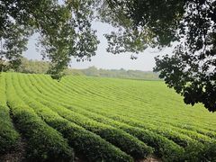 -敬亭山风景名胜区