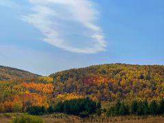 -塞罕坝国家级自然保护区