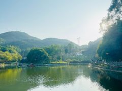 -广州市帽峰山景区