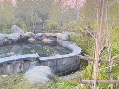-温泉九龙山庄·温泉