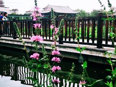 -莲花池公园
