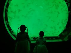 -沈阳海洋探索中心