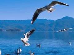 -丽江泸沽湖景区