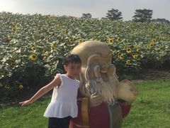 -迪茵湖田家舍生态农场