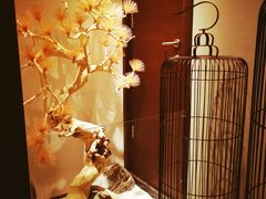 -悦融·京鲁菜·露台花园(安定门店)