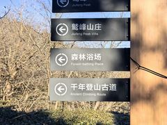 -北京鹫峰国家森林公园