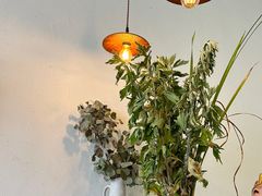 -肥朵食堂(带梦胡同店)