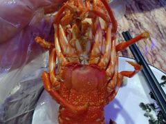 -东记炭炉·海鲜鸡煲(龙华店)