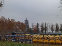 -洋湖国家湿地公园