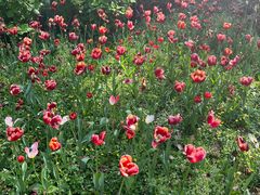 -浙江西子宾馆·瑶园咖啡厅