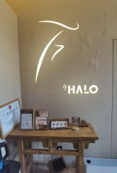 -Halo FLY运动空间