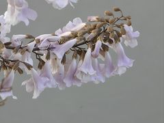 -红星桥(地铁站)