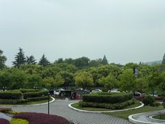 -青藤茶馆(凤起路店)