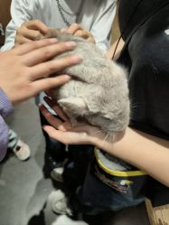 -Zoolung Zoolung动物主题公园(海信广场店)