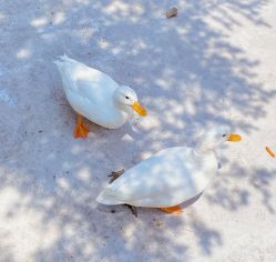 -童心园麦窑·儿童拓展探宝乐园