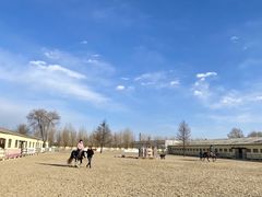 -北京群众马术培训基地