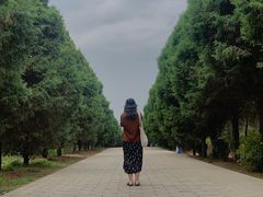 -秦始皇帝陵博物院-丽山园