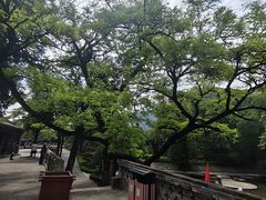 -窦大夫祠