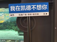 -凯德广场(学府店)