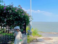 -巢湖姥山岛