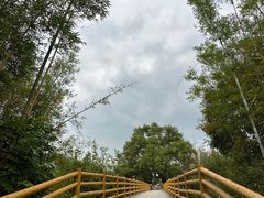 -苏家围·东江画廊旅游景区