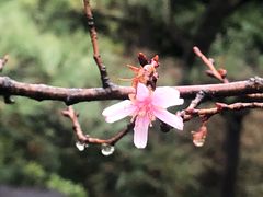 -热田神宫