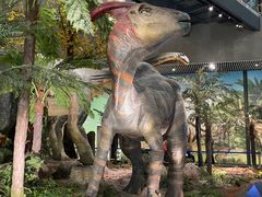 -湖南省地质博物馆