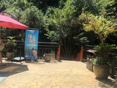 -将军关探险漂流