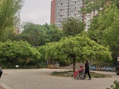 -南长河公园