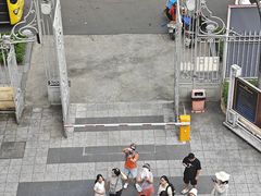 -胡志明市美术馆