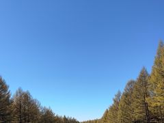 -塞罕坝国家级自然保护区