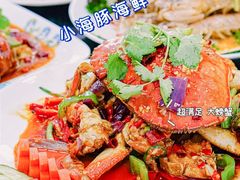 -亚龙湾热带天堂森林公园