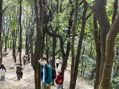 -火炉山森林公园