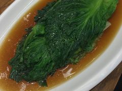 白灼罗马生菜-必点海鲜·鲅鱼水饺(鞍山西道店)