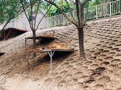 -北京鹿世界主题园